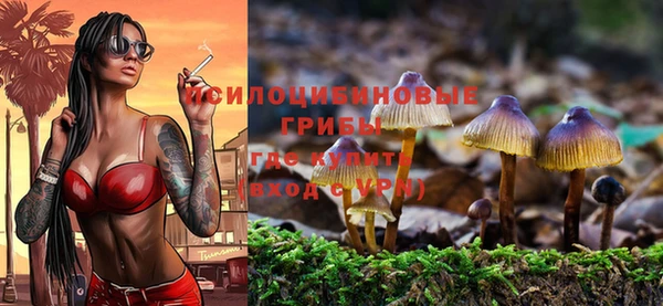 бошки Алзамай