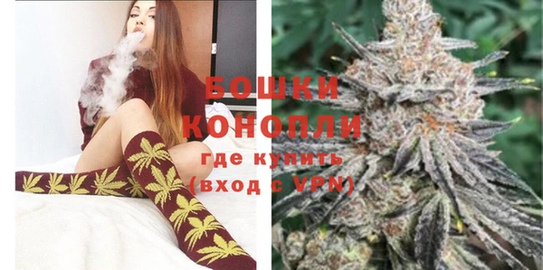 крисы Абдулино