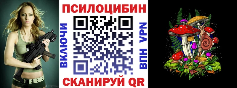где купить наркотик  Грозный  Галлюциногенные грибы Psilocybe 