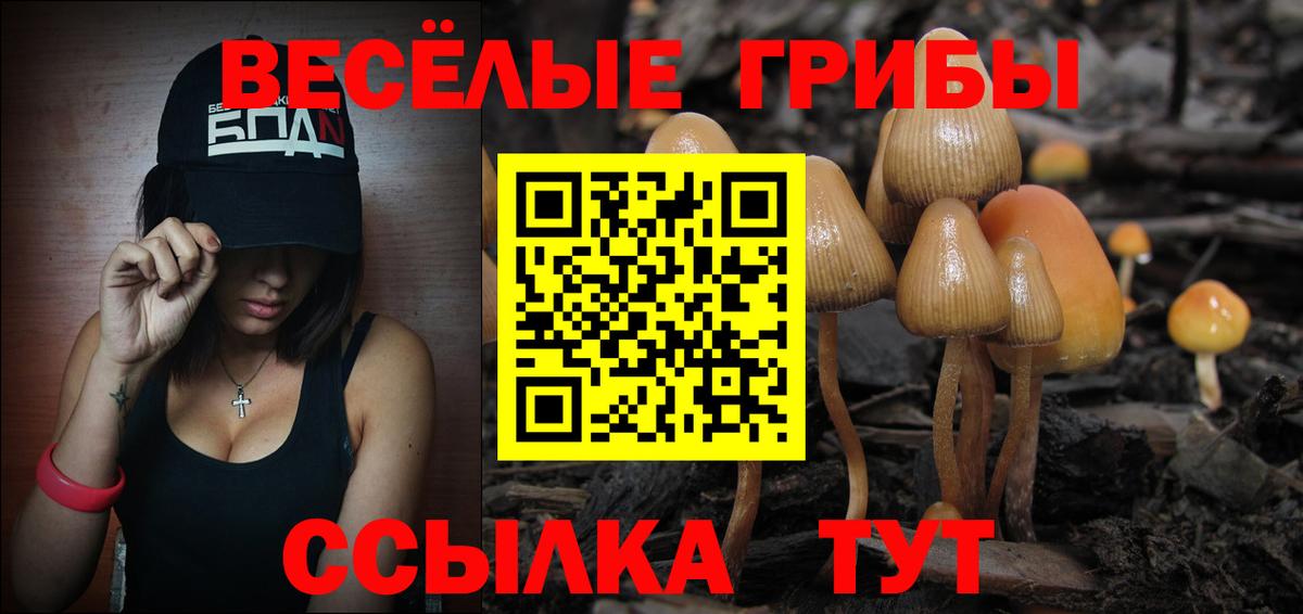 Галлюциногенные грибы ЛСД Грозный