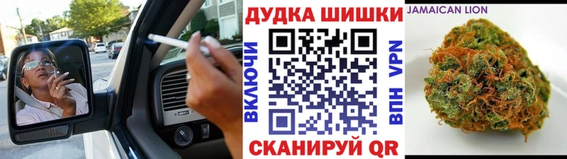 как найти   Грозный  Марихуана SATIVA & INDICA 